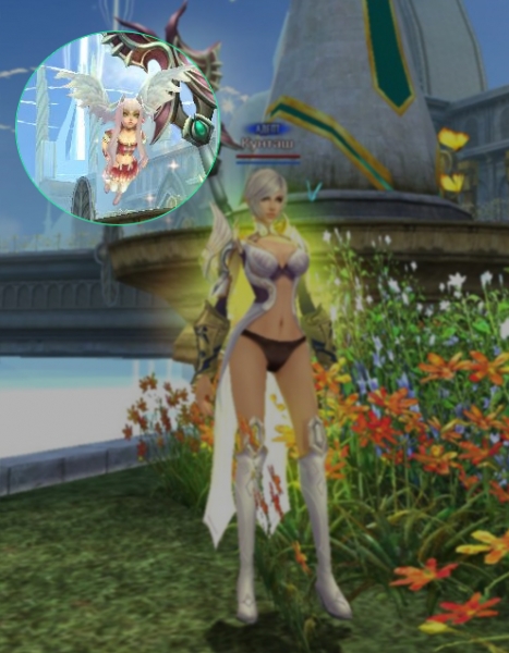 Эльфы Reborn Online